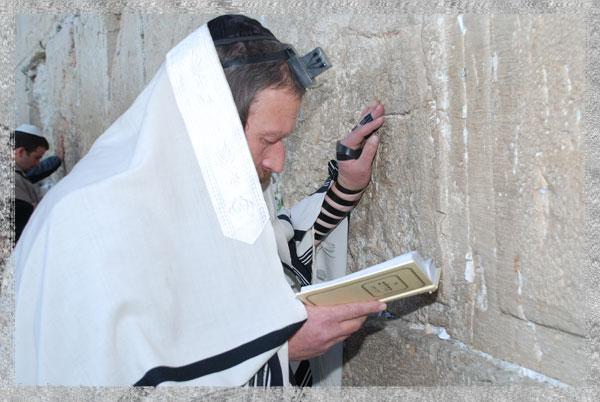 Rabbi Daivd prayers at the western wall