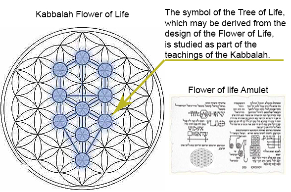 Benefit And Meaning Of Flower Life